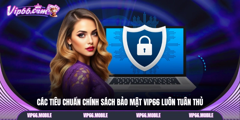 Các tiêu chuẩn chính sách bảo mật VIP66 luôn tuân thủ