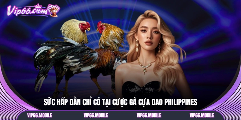 Sức hấp dẫn chỉ có tại cược gà cựa dao Philippines