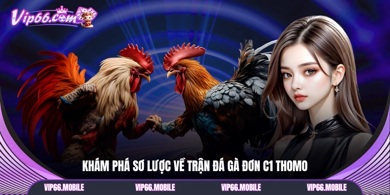 Khám phá sơ lược về trận đá gà đơn C1 Thomo