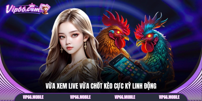 Vừa xem live vừa chốt kèo cực kỳ linh động