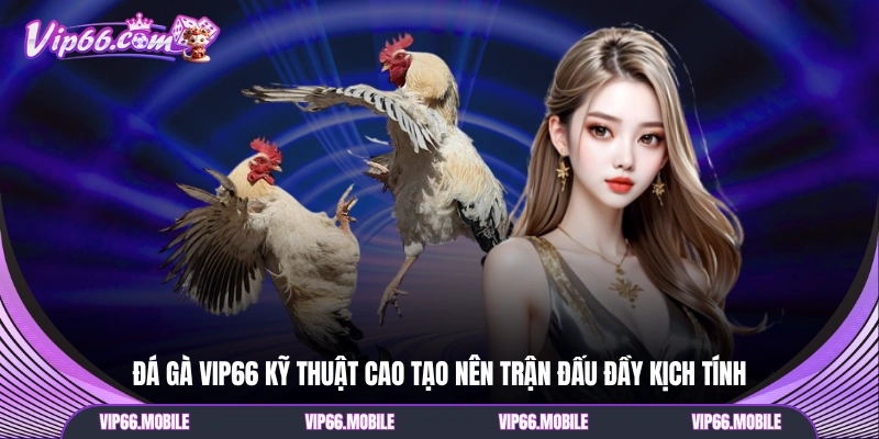 Đá gà VIP66 kỹ thuật cao tạo nên trận đấu đầy kịch tính
