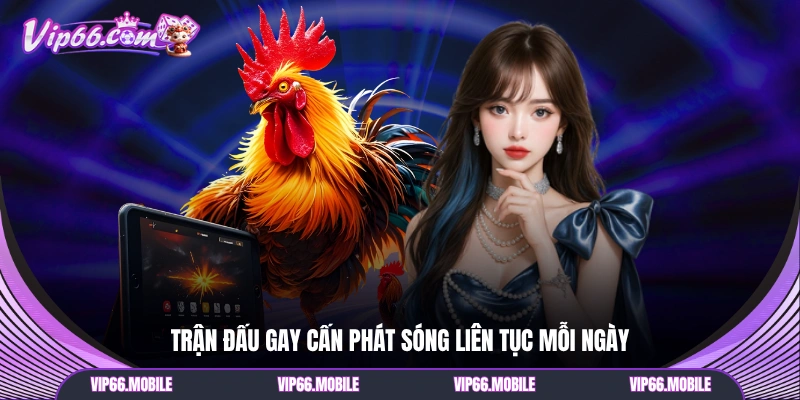 Trận đấu gay cấn phát sóng liên tục mỗi ngày