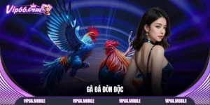 Gà đá đòn độc